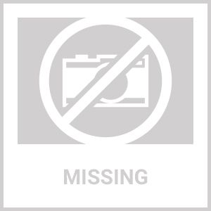 320428 Reverse Lock Rod Spring Evinrude Johnson